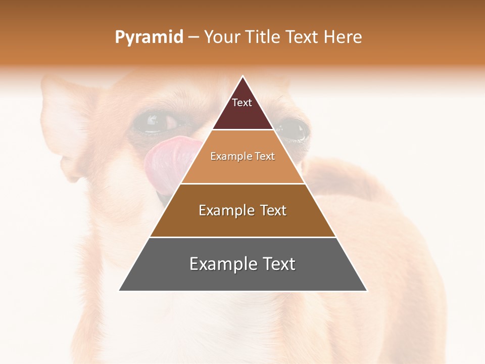 Domestic Savor Fat PowerPoint Template