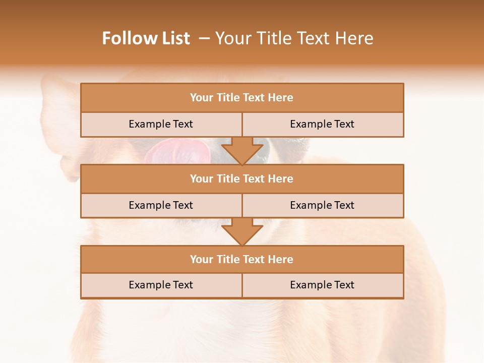 Domestic Savor Fat PowerPoint Template