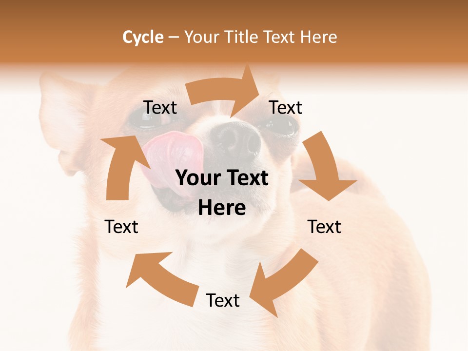 Domestic Savor Fat PowerPoint Template