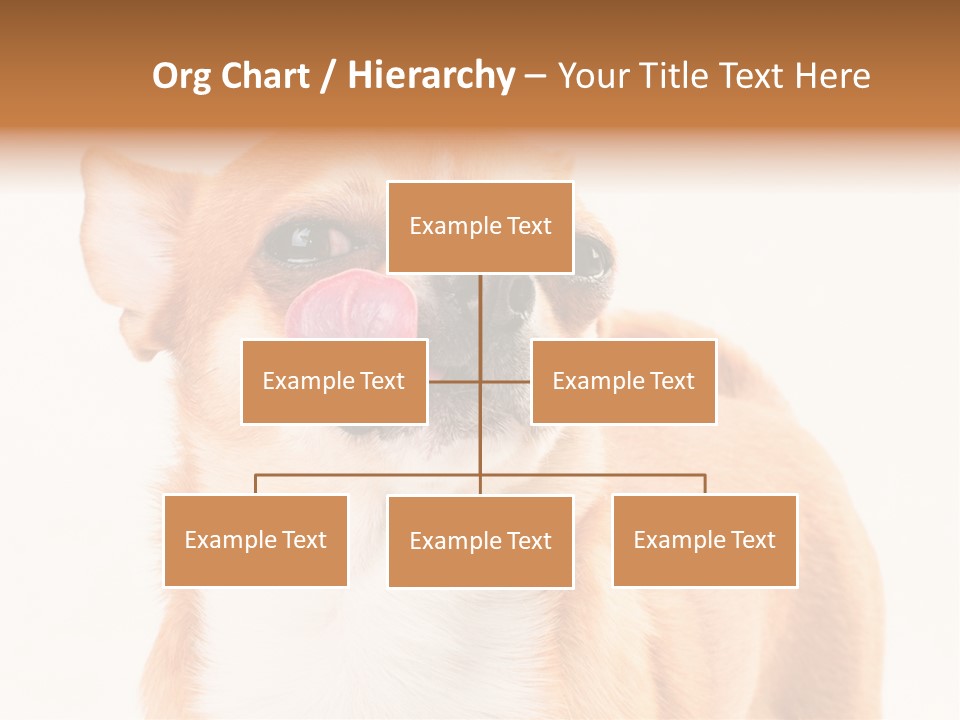 Domestic Savor Fat PowerPoint Template