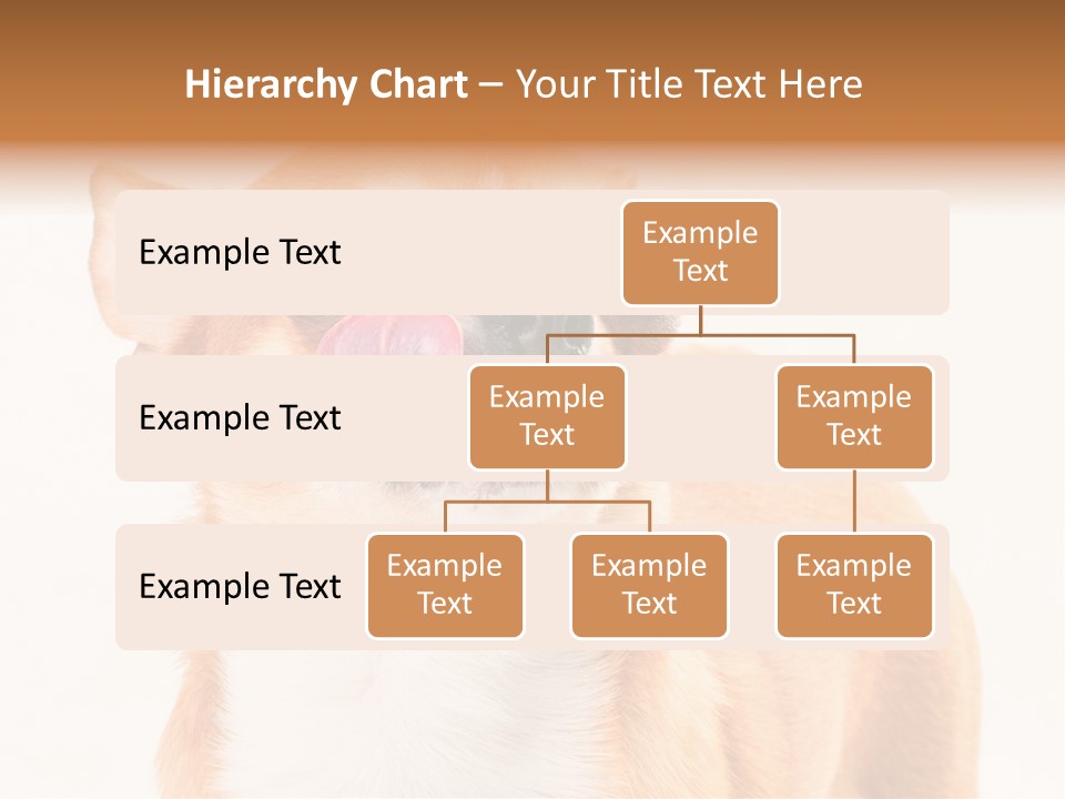 Domestic Savor Fat PowerPoint Template