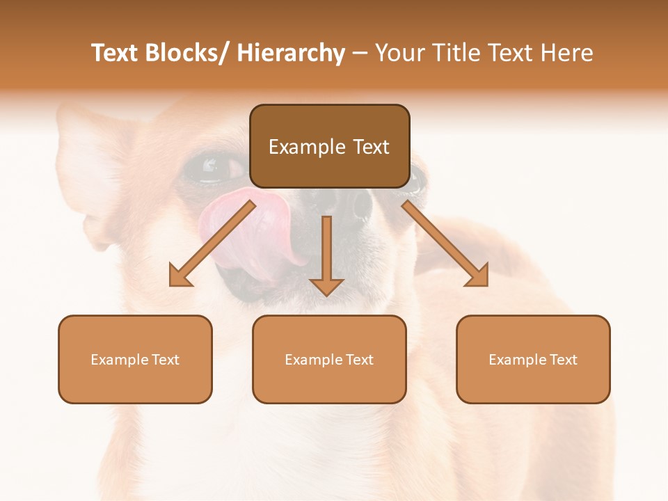 Domestic Savor Fat PowerPoint Template