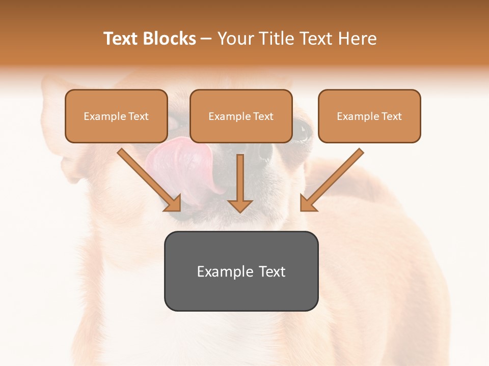 Domestic Savor Fat PowerPoint Template