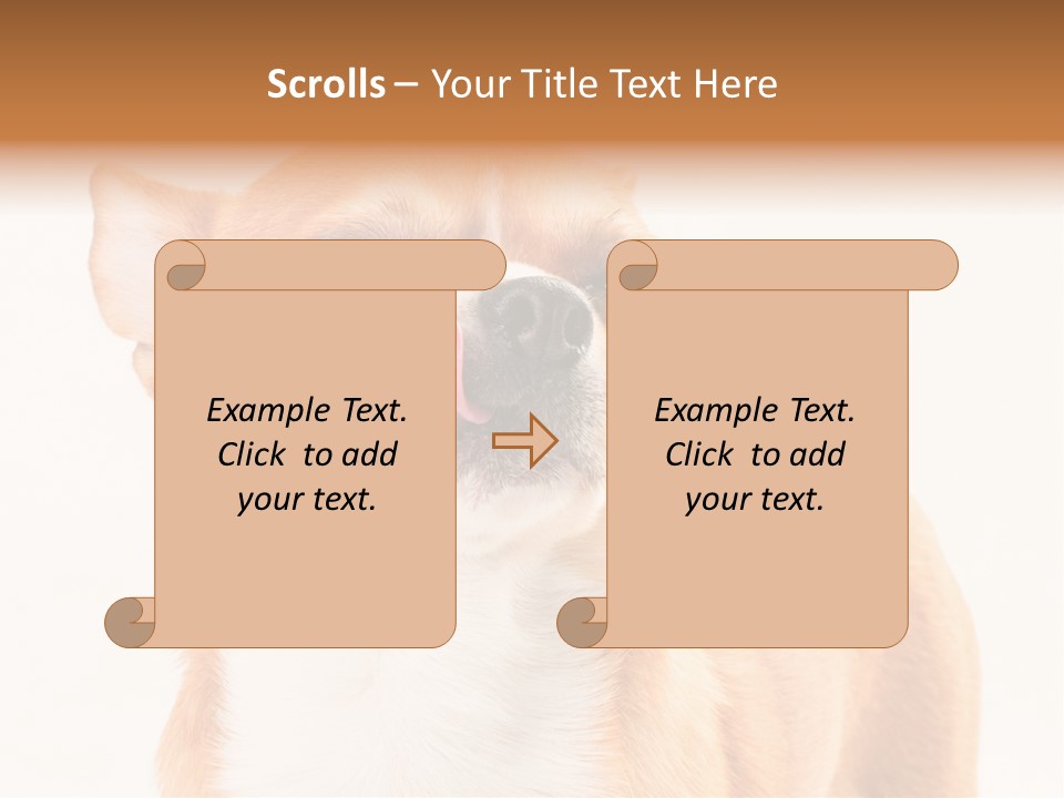 Domestic Savor Fat PowerPoint Template
