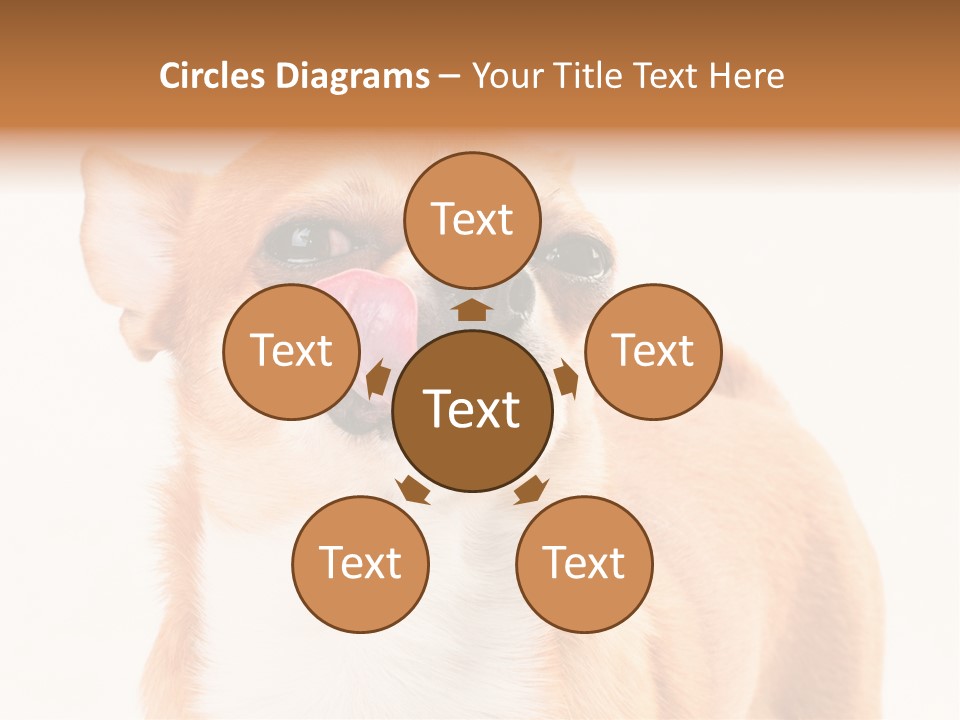 Domestic Savor Fat PowerPoint Template