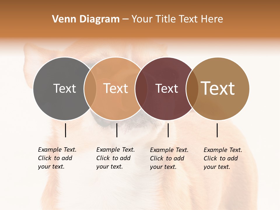 Domestic Savor Fat PowerPoint Template