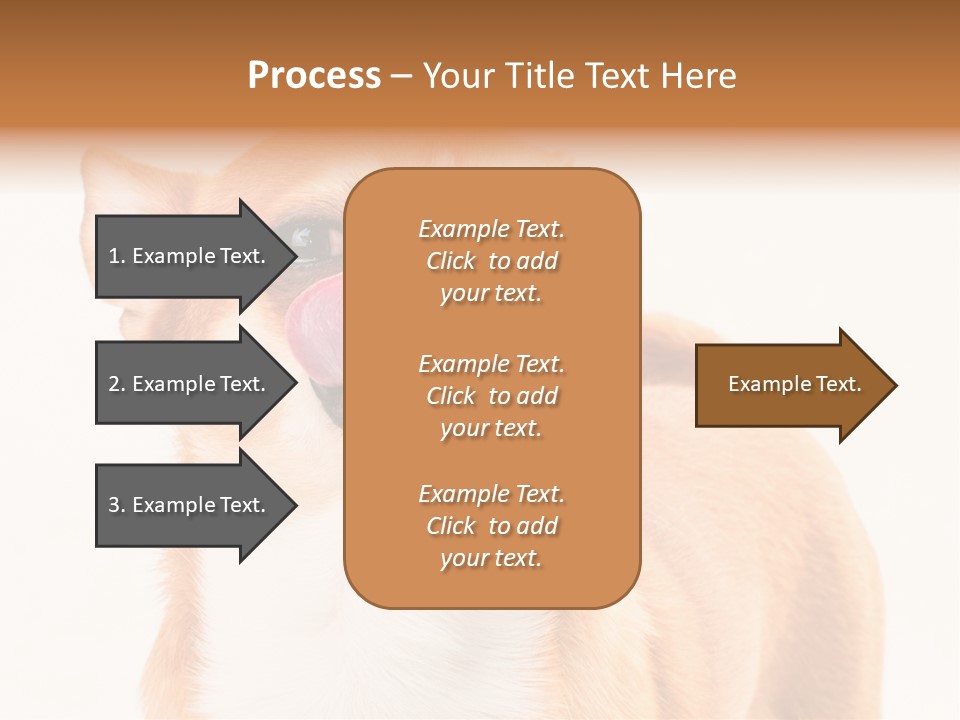Domestic Savor Fat PowerPoint Template
