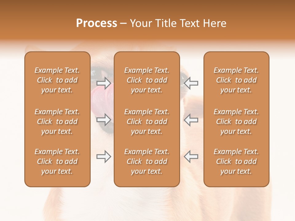 Domestic Savor Fat PowerPoint Template