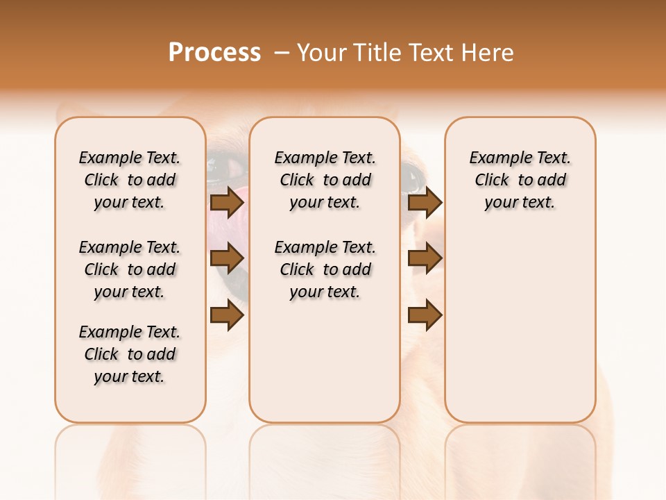 Domestic Savor Fat PowerPoint Template