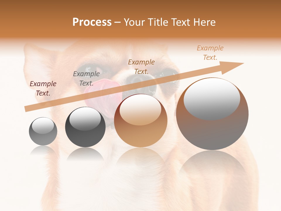 Domestic Savor Fat PowerPoint Template