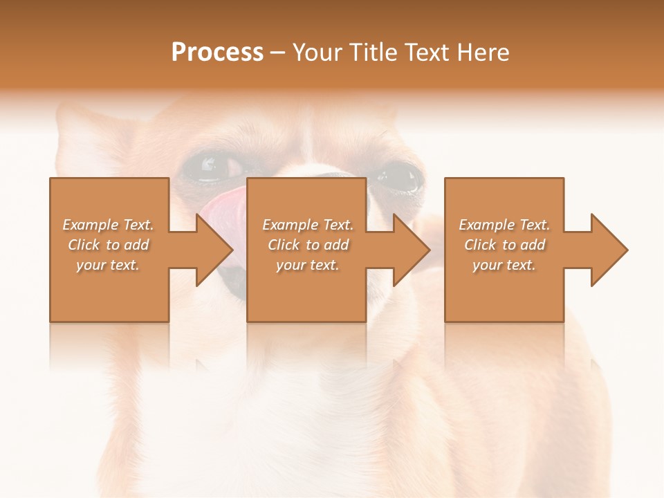Domestic Savor Fat PowerPoint Template