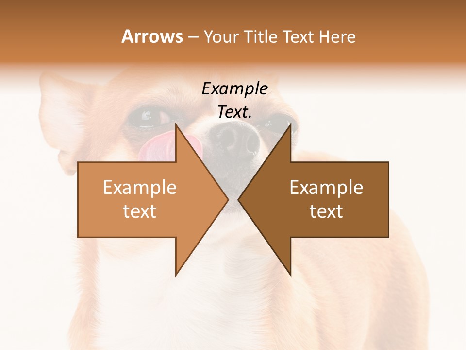 Domestic Savor Fat PowerPoint Template