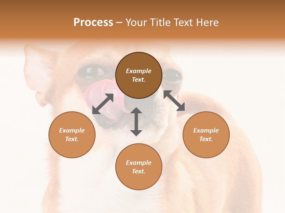Domestic Savor Fat PowerPoint Template