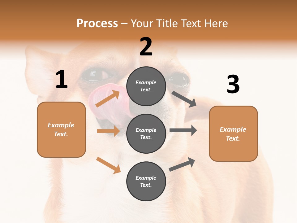 Domestic Savor Fat PowerPoint Template