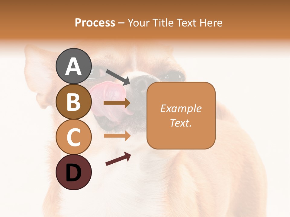 Domestic Savor Fat PowerPoint Template