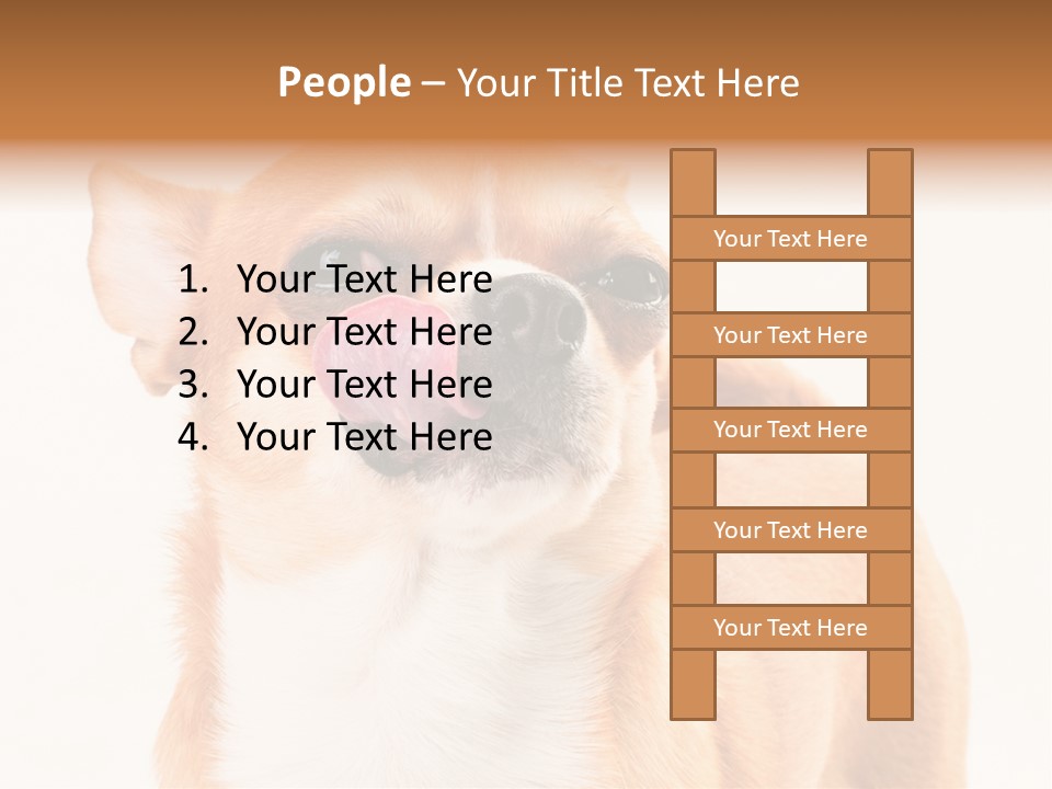 Domestic Savor Fat PowerPoint Template