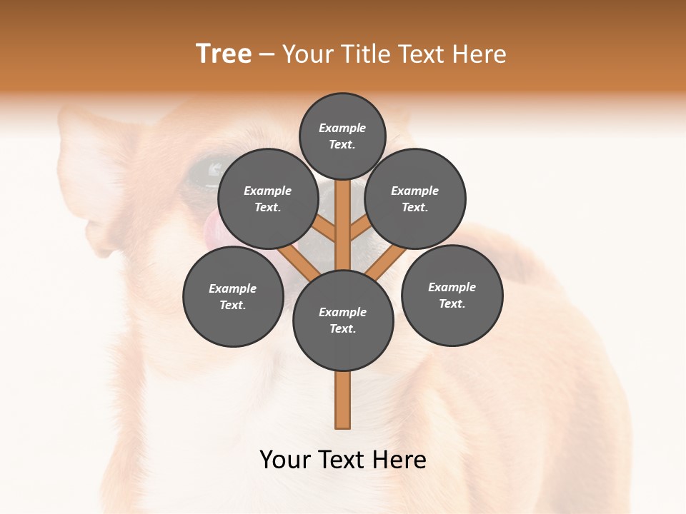 Domestic Savor Fat PowerPoint Template