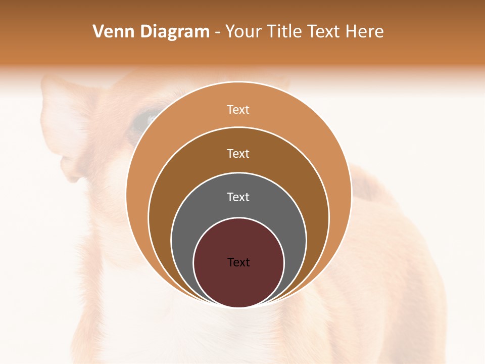Domestic Savor Fat PowerPoint Template