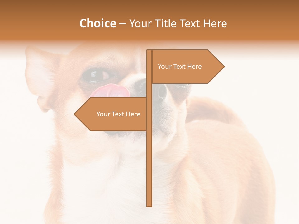 Domestic Savor Fat PowerPoint Template