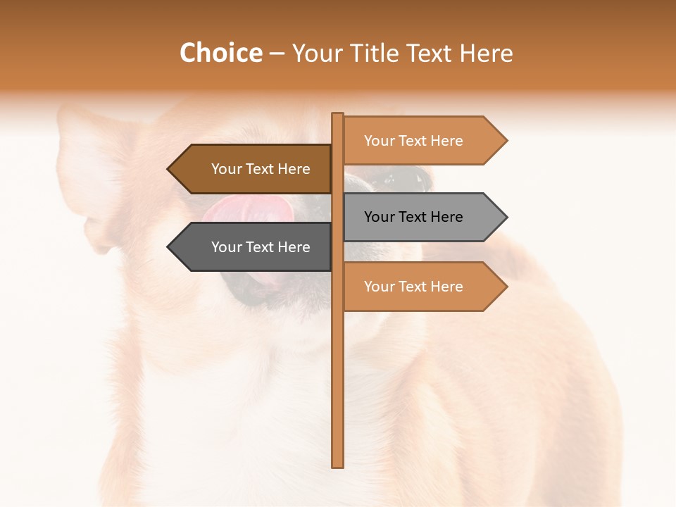 Domestic Savor Fat PowerPoint Template