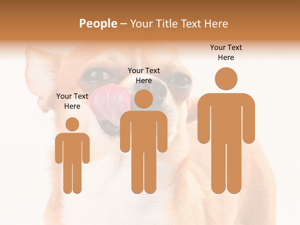 Domestic Savor Fat PowerPoint Template