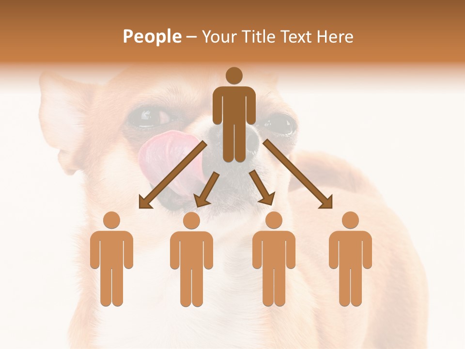 Domestic Savor Fat PowerPoint Template