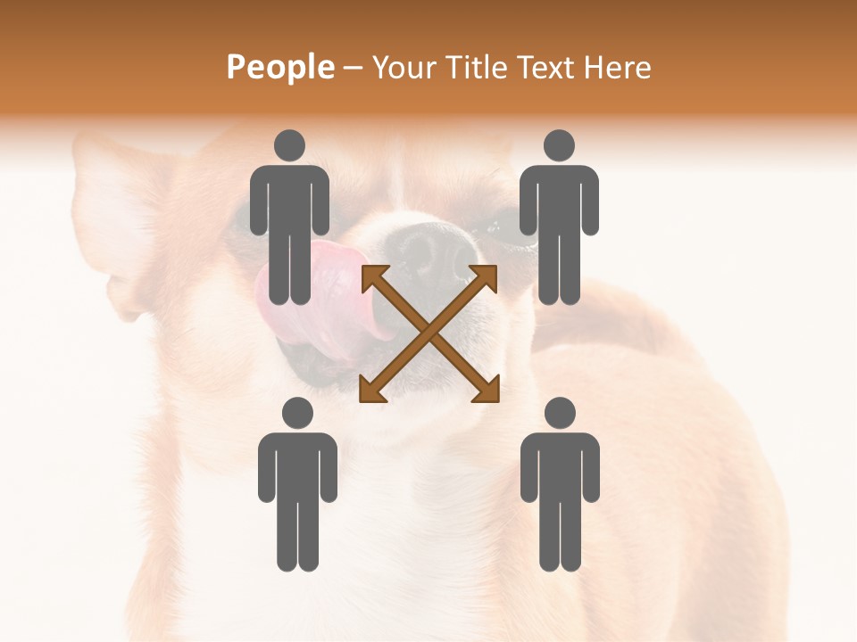 Domestic Savor Fat PowerPoint Template