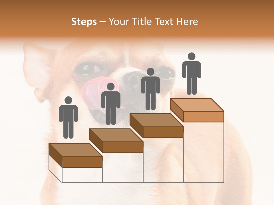 Domestic Savor Fat PowerPoint Template