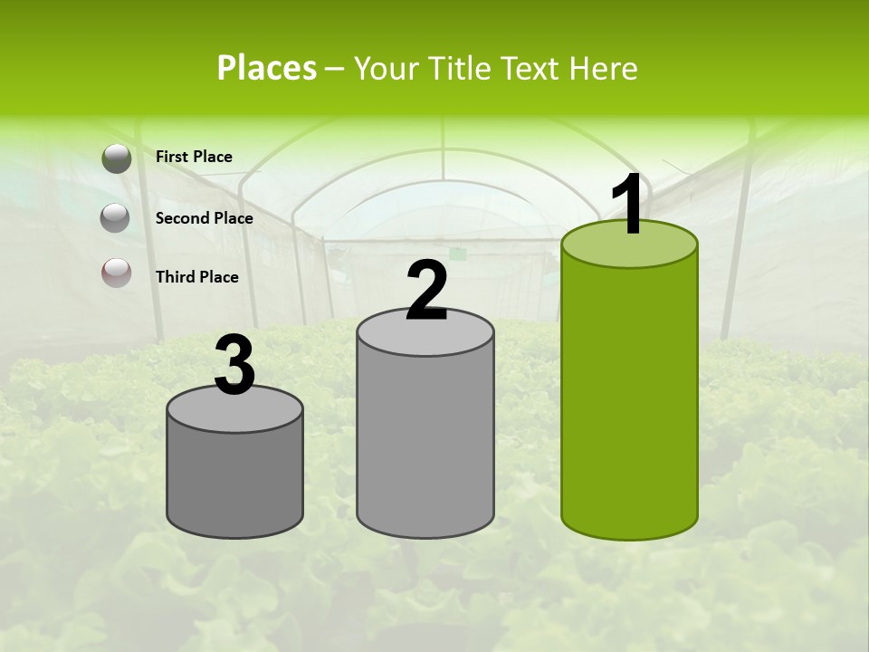 Green Vitamins Net PowerPoint Template