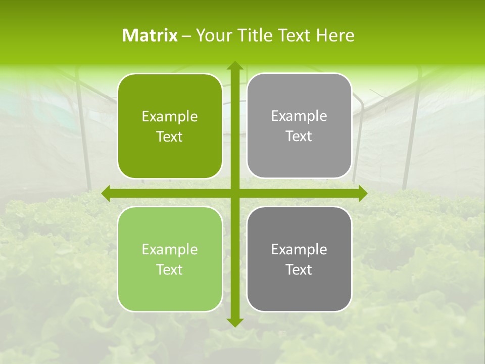 Green Vitamins Net PowerPoint Template