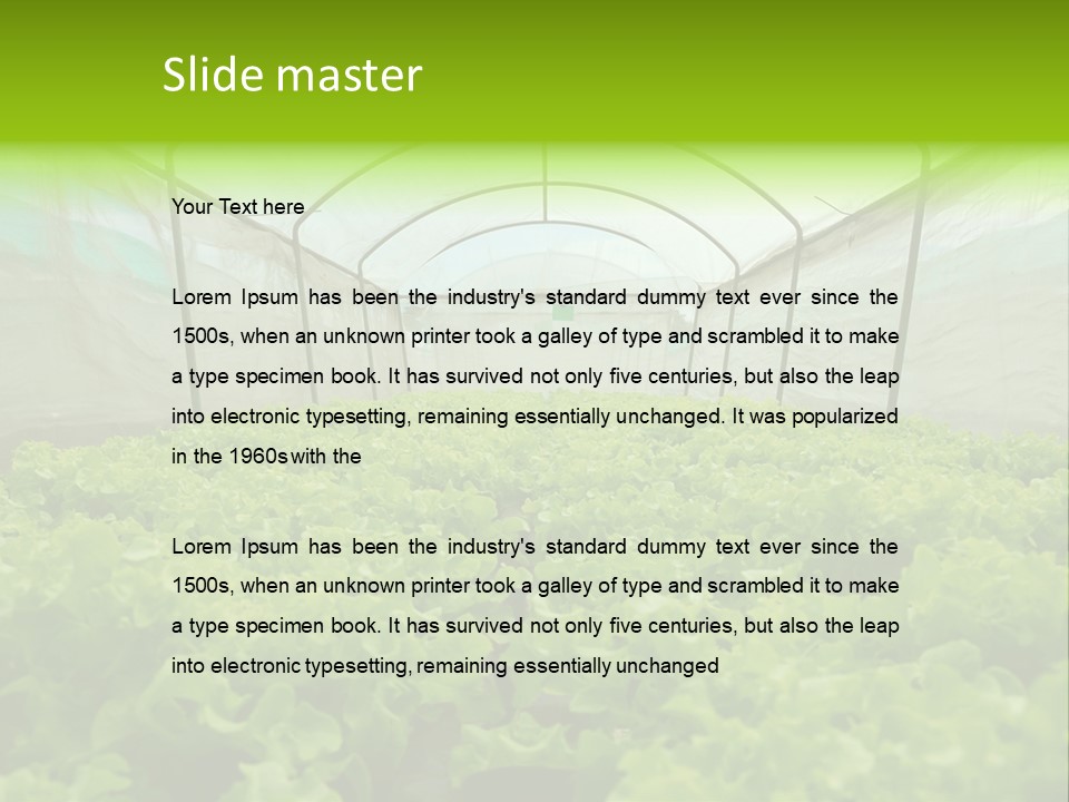 Green Vitamins Net PowerPoint Template