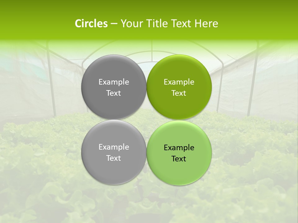 Green Vitamins Net PowerPoint Template