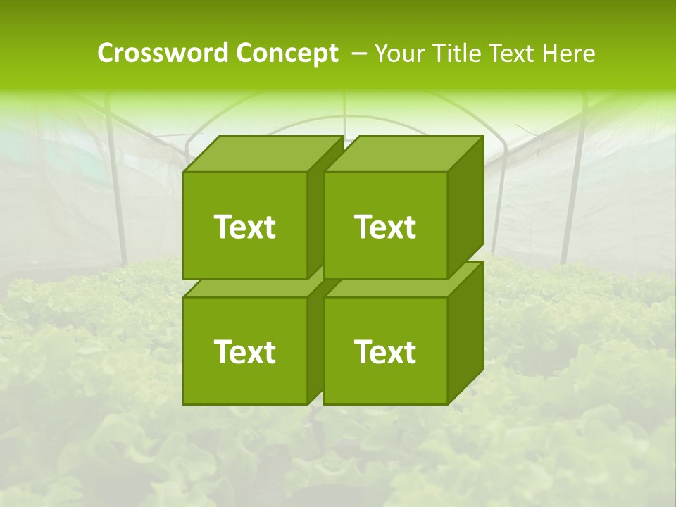 Green Vitamins Net PowerPoint Template