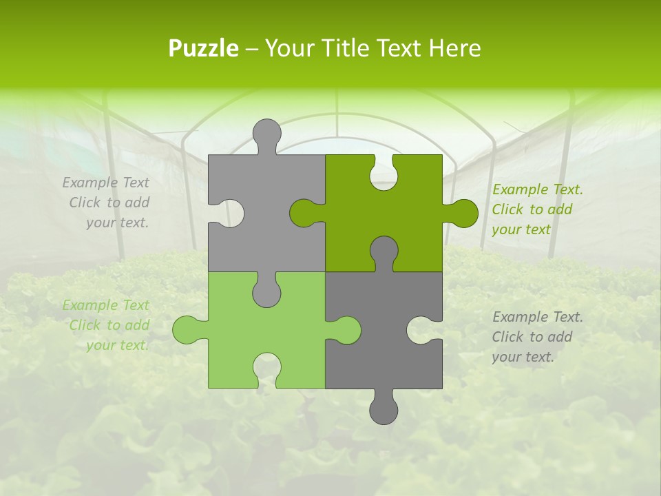 Green Vitamins Net PowerPoint Template