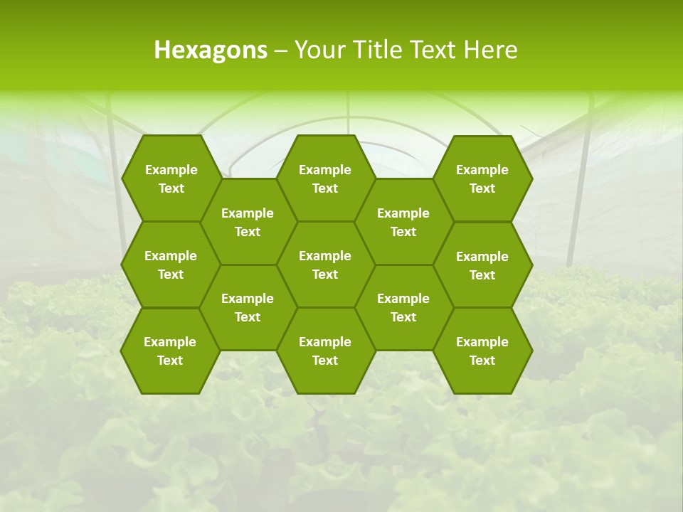 Green Vitamins Net PowerPoint Template