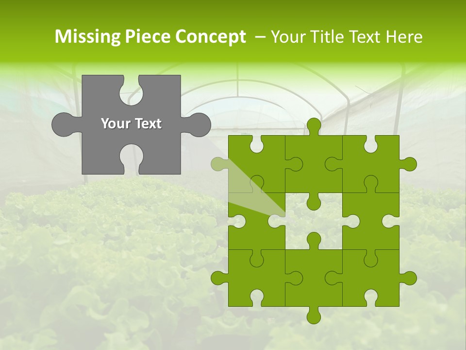 Green Vitamins Net PowerPoint Template