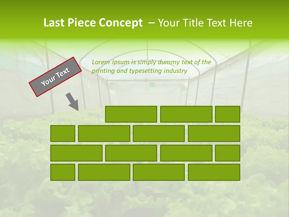 Green Vitamins Net PowerPoint Template