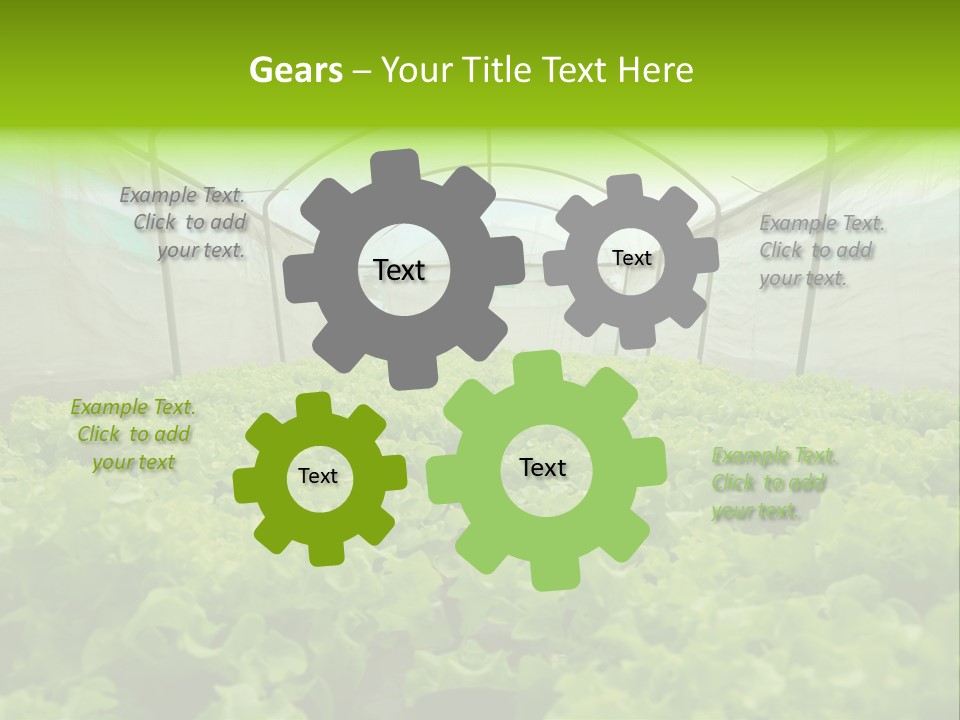 Green Vitamins Net PowerPoint Template