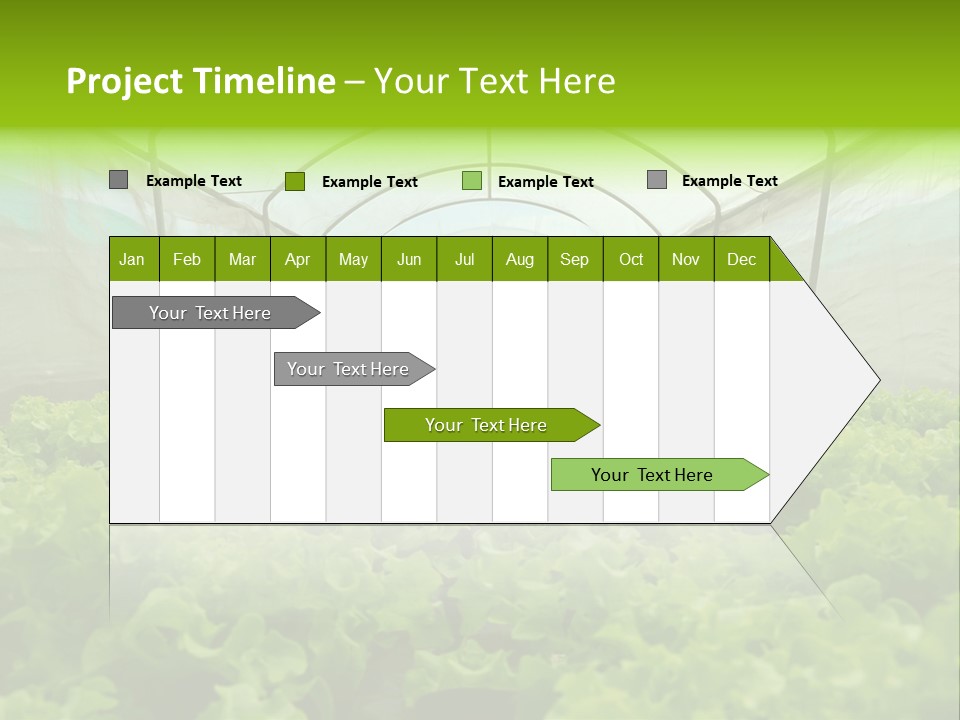 Green Vitamins Net PowerPoint Template