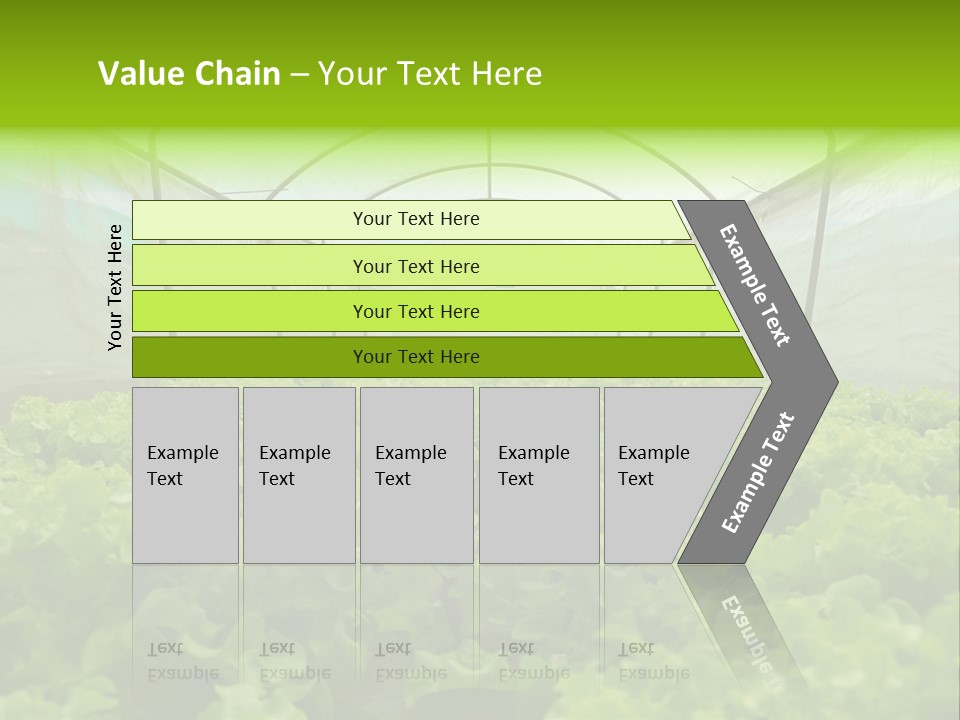Green Vitamins Net PowerPoint Template