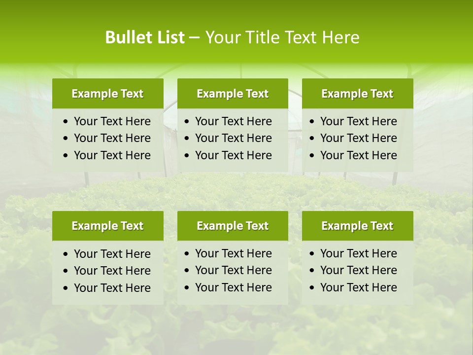 Green Vitamins Net PowerPoint Template
