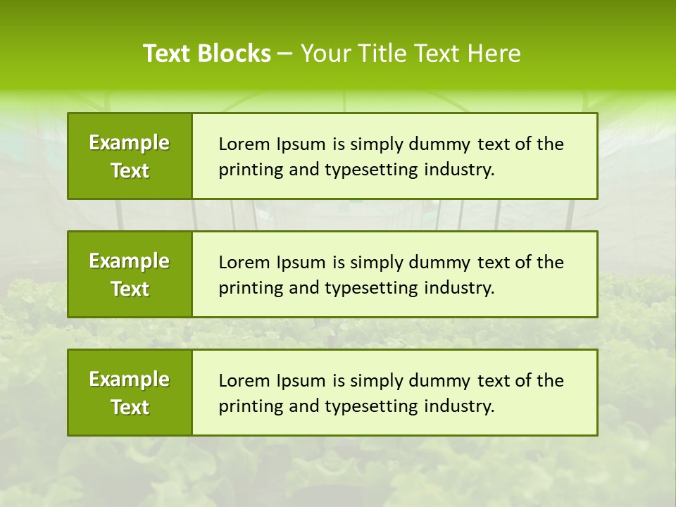 Green Vitamins Net PowerPoint Template