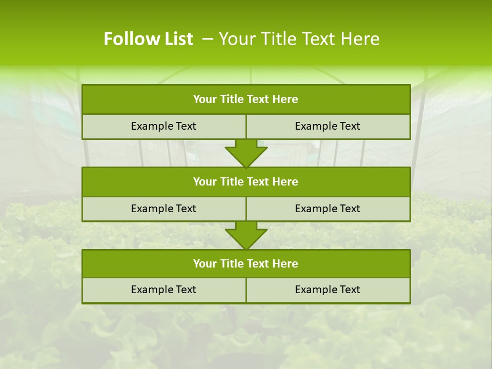 Green Vitamins Net PowerPoint Template