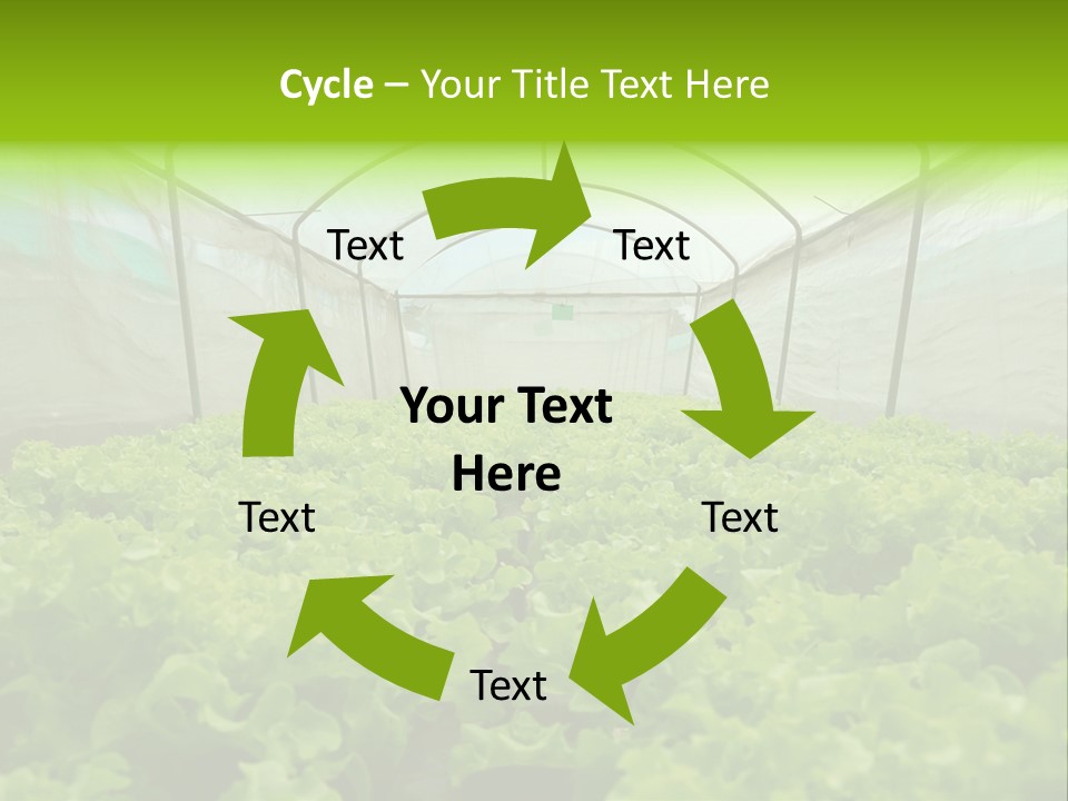Green Vitamins Net PowerPoint Template