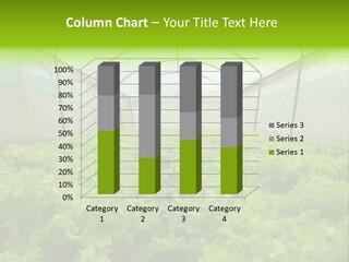 Green Vitamins Net PowerPoint Template