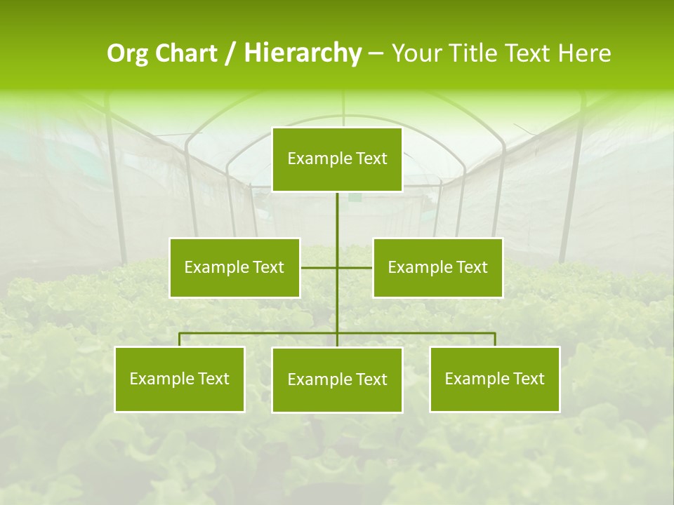 Green Vitamins Net PowerPoint Template