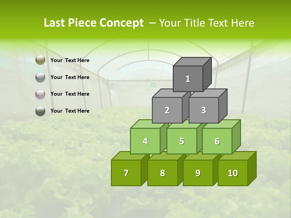 Green Vitamins Net PowerPoint Template
