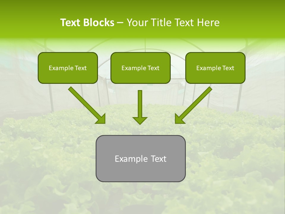 Green Vitamins Net PowerPoint Template