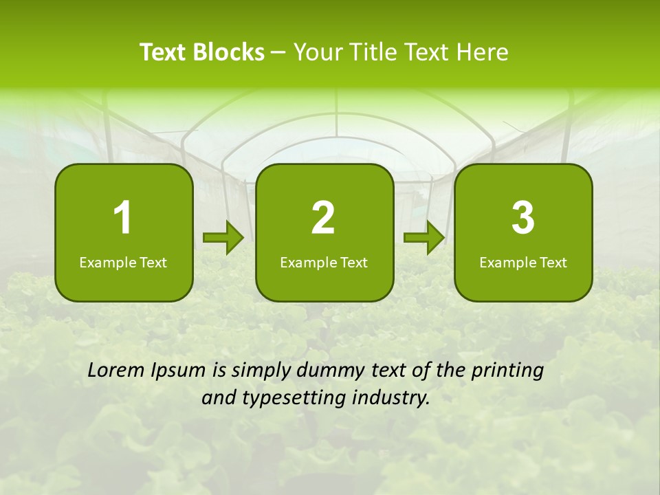 Green Vitamins Net PowerPoint Template