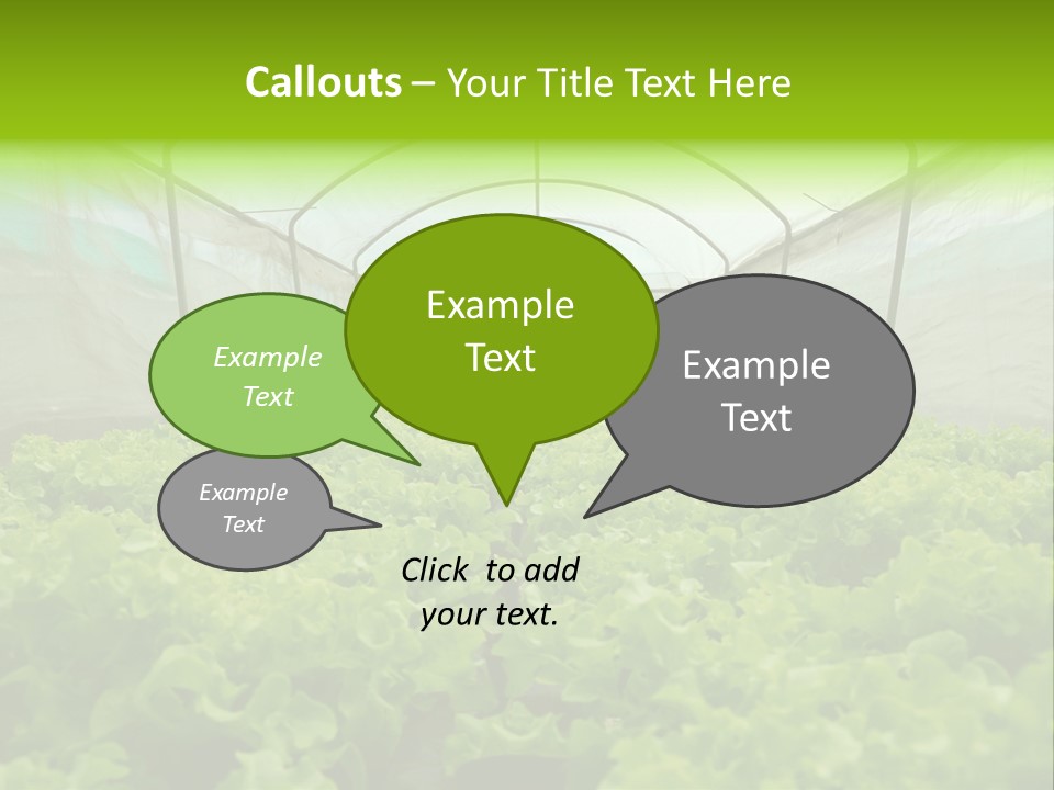 Green Vitamins Net PowerPoint Template